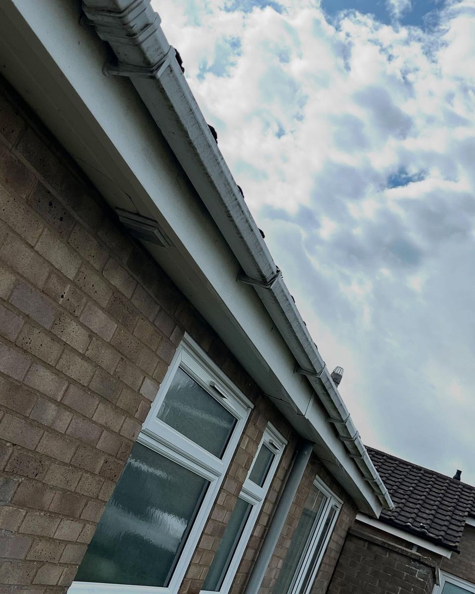 Bungalow gutters and fascias before cleaning, streaked with green and black algae