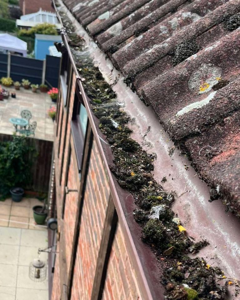 Gutter packed with moss and debris washed down from the roof