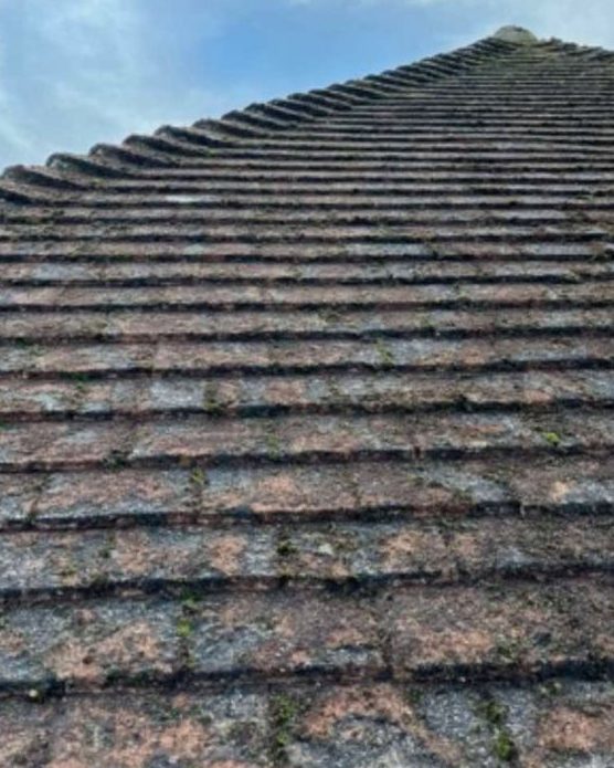 The same roof slope after moss removal, the tiles clear up to the ridge
